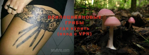 дживик Абинск