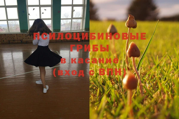 дмт Армянск