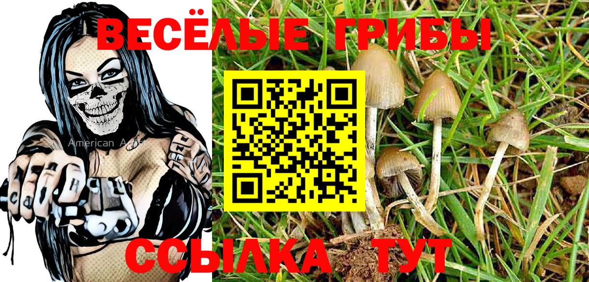 Псилоцибиновые грибы мухоморы Топки
