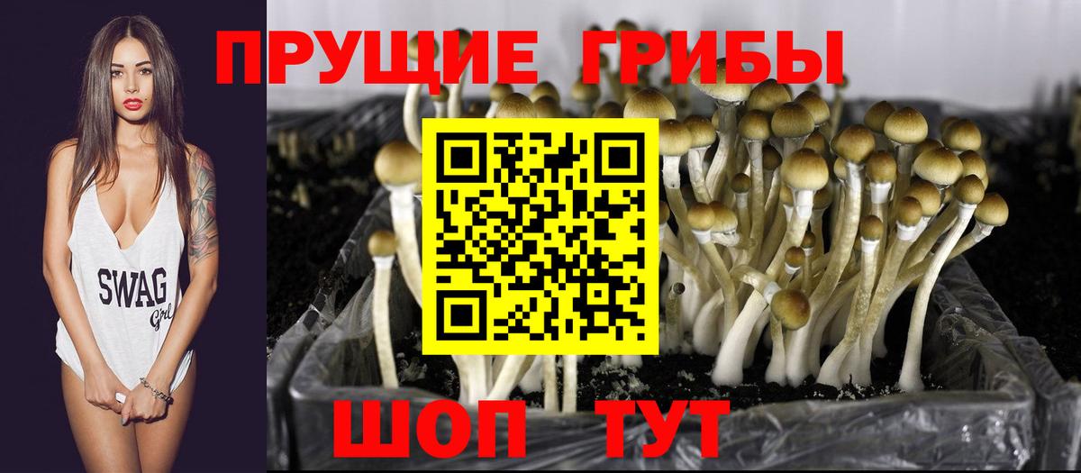 Псилоцибиновые грибы Psilocybe  Псилоцибиновые грибы мухоморы  Топки  Вход с VPN 