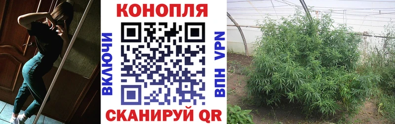 Марихуана индика  Топки 